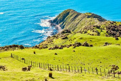 NZ Politicians Fan Interference Fears as Dairy Giants Eye Chinese Demand 18 NZ Politicians Fan Interference Fears as Dairy Giants Eye Chinese Demand