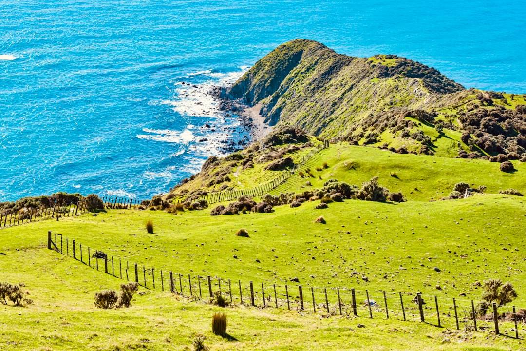 NZ Politicians Fan Interference Fears as Dairy Giants Eye Chinese Demand 1 NZ Politicians Fan Interference Fears as Dairy Giants Eye Chinese Demand