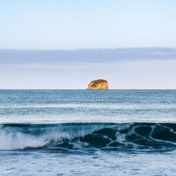 Immigration NZ Extends Conditional Visa Waiver for Chinese Visitors