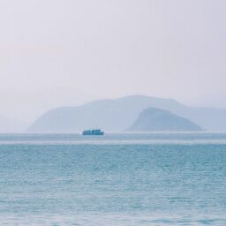 Parcels from Shenzhen inspire New Zealander to build business link 新西兰创业者安德烈的深圳之缘- 大数跨境