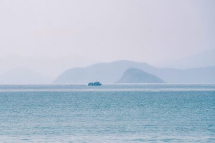 Parcels from Shenzhen inspire New Zealander to build business link 新西兰创业者安德烈的深圳之缘- 大数跨境