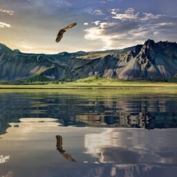 NZ Raises Overseas Investment Thresholds for India, Australia; Illegal Forestry Land Cases Near Resolution