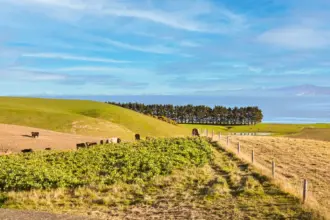 Trade and industrial collaboration prospects between China and Belt and Road resource-based countries — Part 1