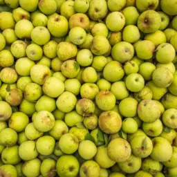 New Zealand apple exports tipped to hit six-year high 2 New Zealand apple exports tipped to hit six-year high