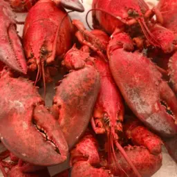 Kahungunu Goes Global: Māori Fisheries Eye China's Billion-Dollar Seafood Market 2 Kahungunu Goes Global: Māori Fisheries Eye China's Billion-Dollar Seafood Market