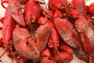 Kahungunu Goes Global: Māori Fisheries Eye China's Billion-Dollar Seafood Market 5 Kahungunu Goes Global: Māori Fisheries Eye China's Billion-Dollar Seafood Market