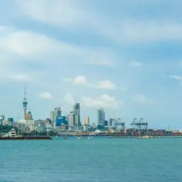 6th CIIE AUCKLAND ROADSHOW – 新西兰中国商会 China Chamber Of Commerce In New Zealand