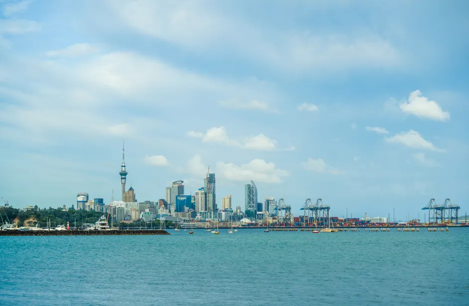 6th CIIE AUCKLAND ROADSHOW – 新西兰中国商会 China Chamber Of Commerce In New Zealand
