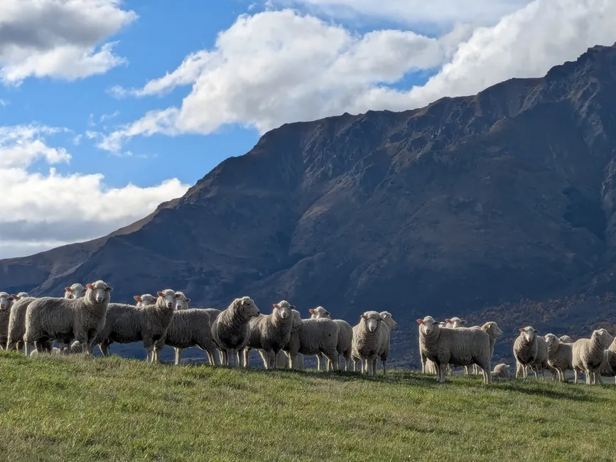 Food and Fibre Exports Reach Record NZ$65.2b 1 Food and Fibre Exports Reach Record NZ.2b