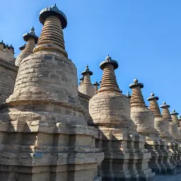 Foreign Envoys Tour Ningxia to Decode China's Tailored Development Model