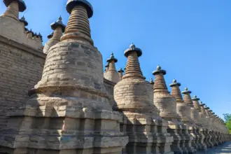 驻华使节宁夏行:读懂中国因地制宜的发展密码 6 驻华使节宁夏行:读懂中国因地制宜的发展密码