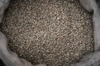 Reporter's Notebook: Yunnan Coffee Finds Its Way into New Zealand Cafes 5 pexels photo 35994483