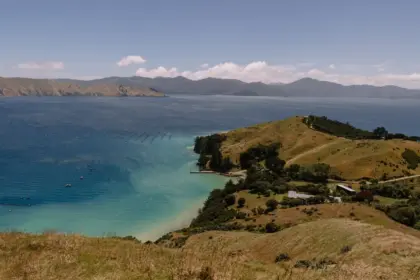 Comvita Buys HoneyWorld Singapore in NZ$10m Push into Asia 6 Comvita Buys HoneyWorld Singapore in NZm Push into Asia