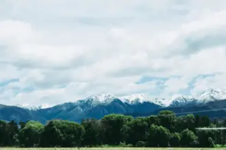 CIIE Spotlight: New Zealand's Diverse Products Draw Attention as China-NZ Trade Potential Continues to Unlock 6 pexels photo 4053563